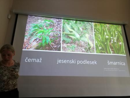 Zelisca za vsak okus 4